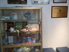 -雅米拉艺术中心(少儿舞蹈培训)