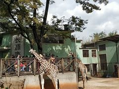 -昆明动物园