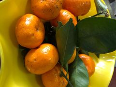 -郭记烤肉(正阳街店)