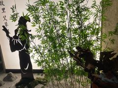 -新紫霞养生·影院足道·SPA(金山区店)