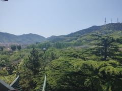 -南山公园