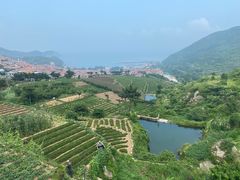 -崂山巨峰游览区