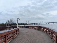 -宝安西湾红树林湿地公园