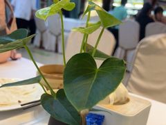 -眉州东坡(亚运村店)