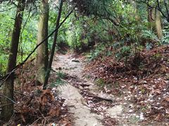 -南岳衡山风景名胜区