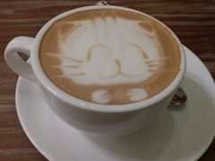 -猫色咖啡·猫咖
