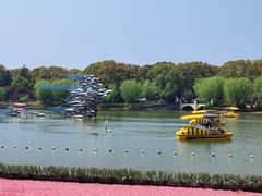 -上海鲜花港