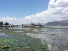 -才村湿地公园