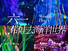 -沈阳海洋探索中心