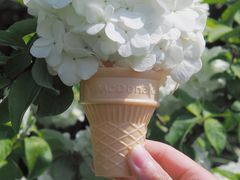 -上海滨江森林公园