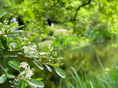 -上海共青森林公园