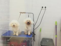 -芭比堂动物医院广州顽皮分院