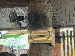 -鹦鹉过山车