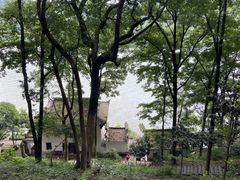 -严子陵钓台(富春江小三峡)