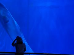 -多彩贵州城极地海洋世界