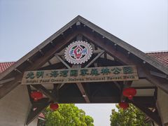 -上海海湾国家森林公园