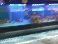 -阿伟海鲜楼·福建菜(延寿店)