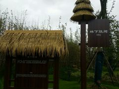 烧烤区-上海长兴岛郊野公园