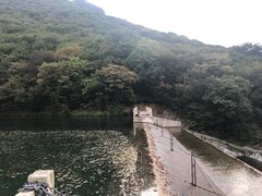 -龙道沟景区