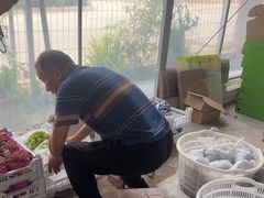 -马陆小张葡萄园农家乐