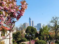 -烟台山景区