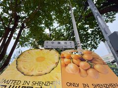 -茶力的小怪兽(梅林卓悦汇店)