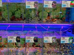 -大润发(番禺店)