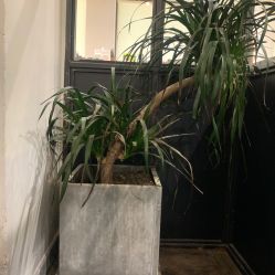 -M+hair salon专业造型沙龙