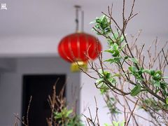 -松声马术俱乐部