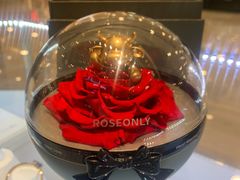 -ROSEONLY诺誓(国际广场购物中心店)