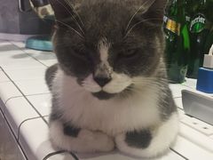 -MIKAKU(万达广场上海宝山店)