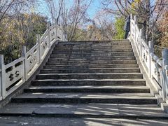 -洛龙公园