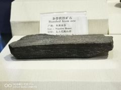 -辽宁古生物博物馆