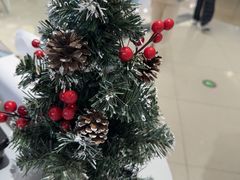 -海马体照相馆(成都来福士广场店)