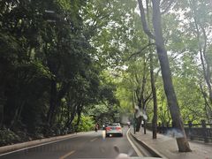-潜山国家森林公园