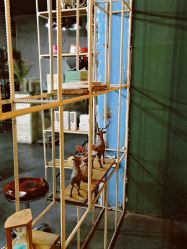 -HG美发设计沙龙