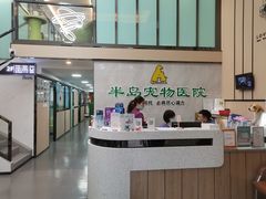 -半岛宠物医院24小时(科华中路店)