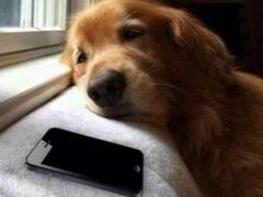 -葛记焖饼(伏牛路店)