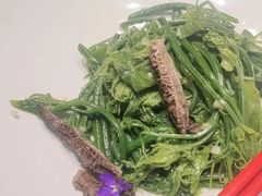 -秀儿四九城·新京菜(亚运村鸟巢店)