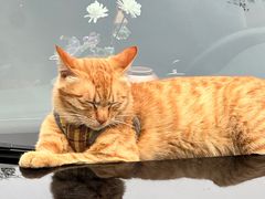 -云平风味园(护国路店)