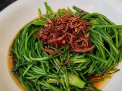 -尽善百年古院餐厅(王家老宅店)