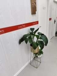 -仁爱时光·华中AI体雕·抗衰中心旗舰店