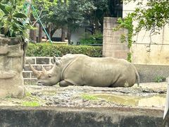 -成都动物园