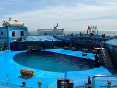 -海合安青岛极地海洋公园