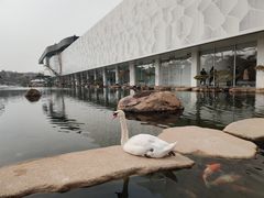 -罗红摄影艺术馆