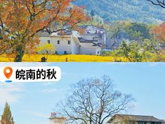 -塔川景区