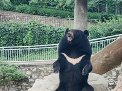 -石家庄市动物园