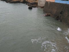 -枸杞岛