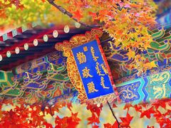 -香山公园