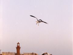 -星海广场